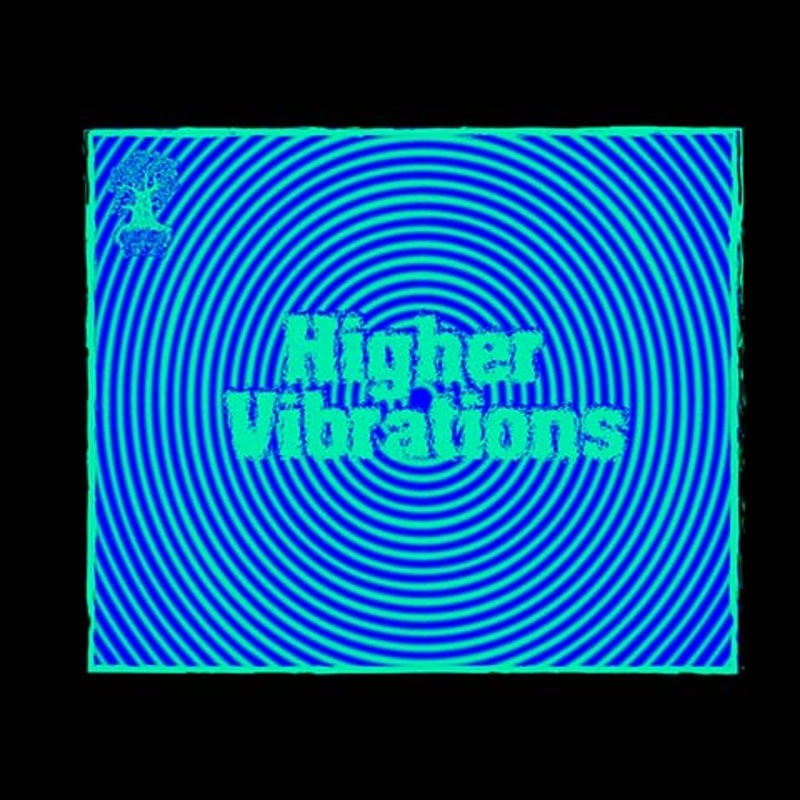 Burley Oak Higher Vibrations TIPA 16OZ SINGLE CAN