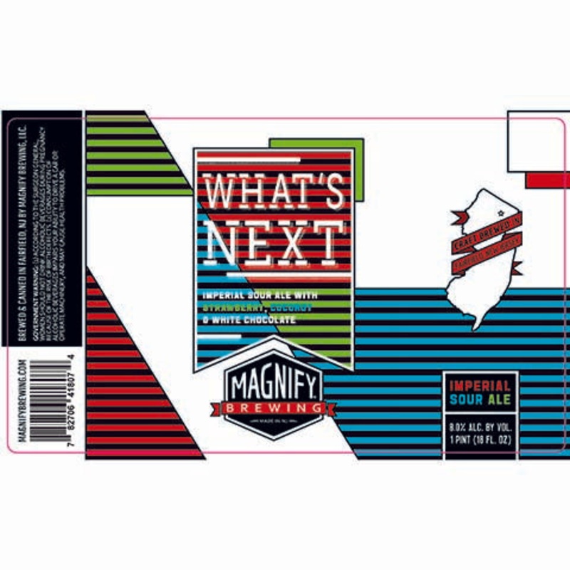 Magnify What's Next Imperial Sour Ale 16OZ SINGLE CAN