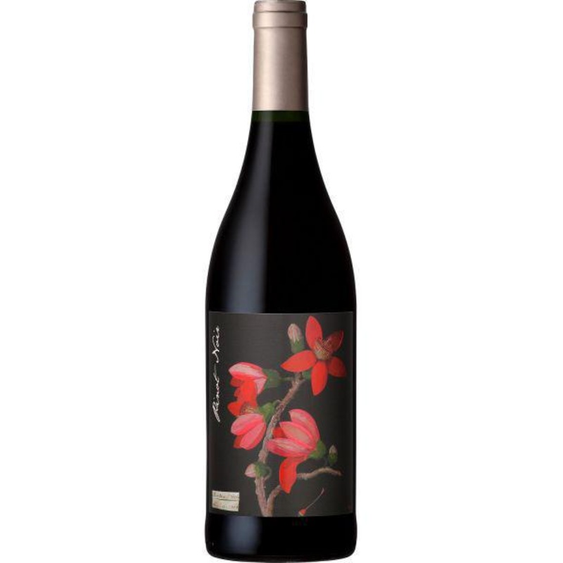 PN The Mary Delany Collection