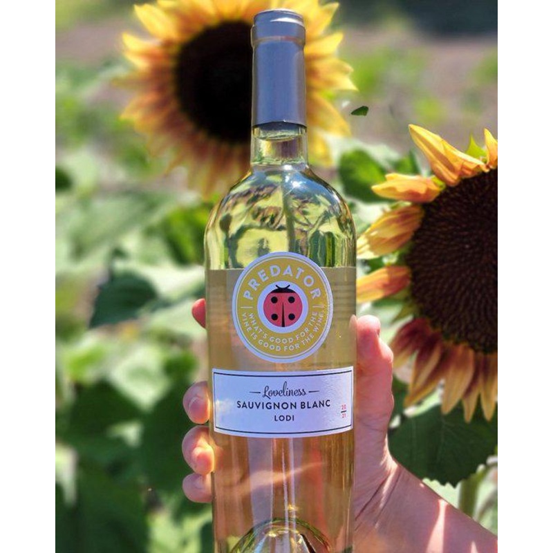 SB Predator 2021 Loveliness