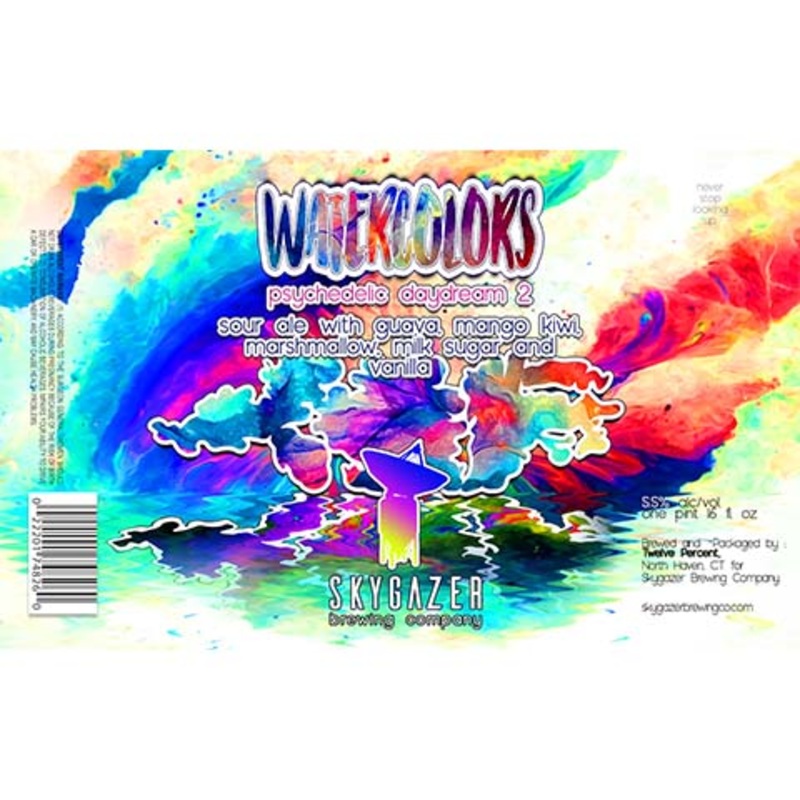 Skygazer Watercolors Psychedelic Daydream 2 Sour 16OZ SINGLE CAN