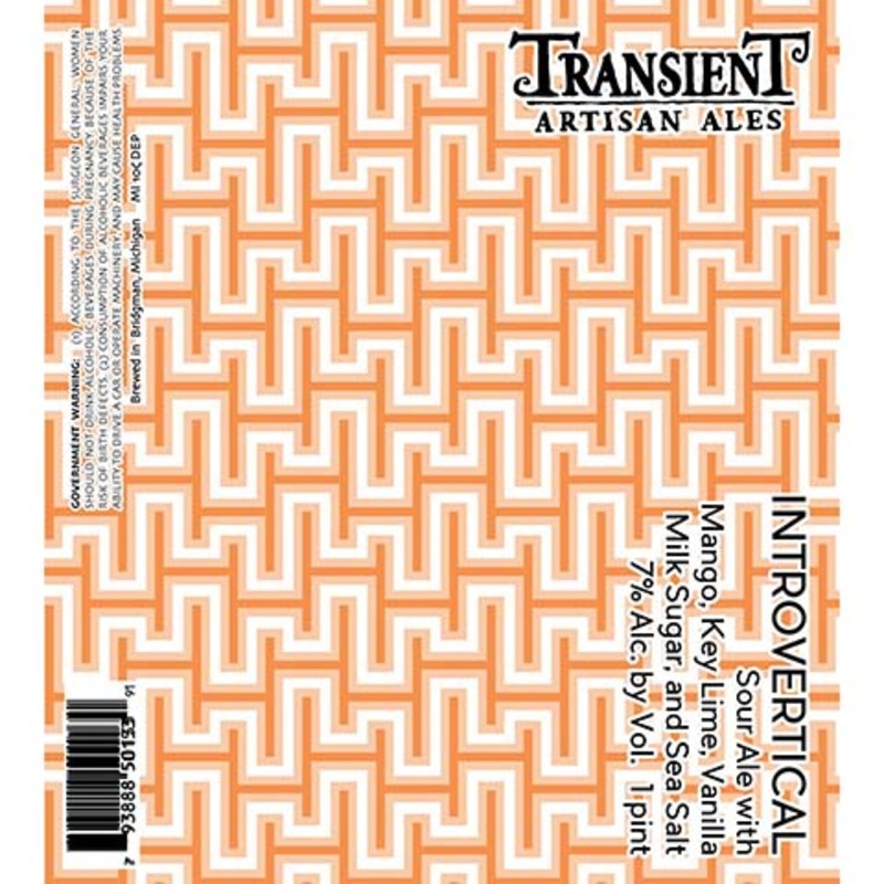 Transient Introvertical Sour Ale 16OZ SINGLE CAN