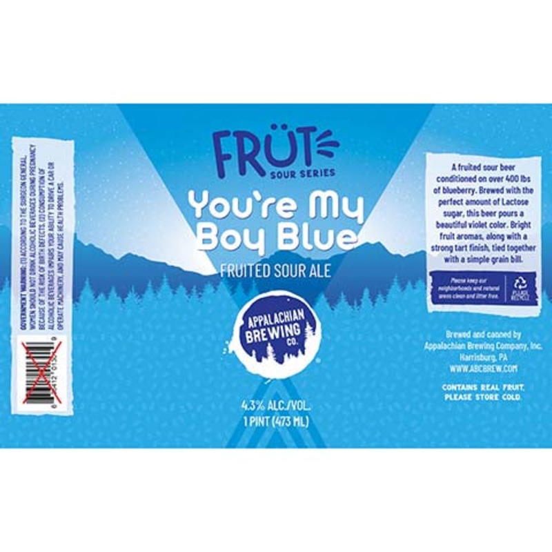 Appalachian You're My Boy Blue Fruited Sour Ale 16OZ SINGLE CAN