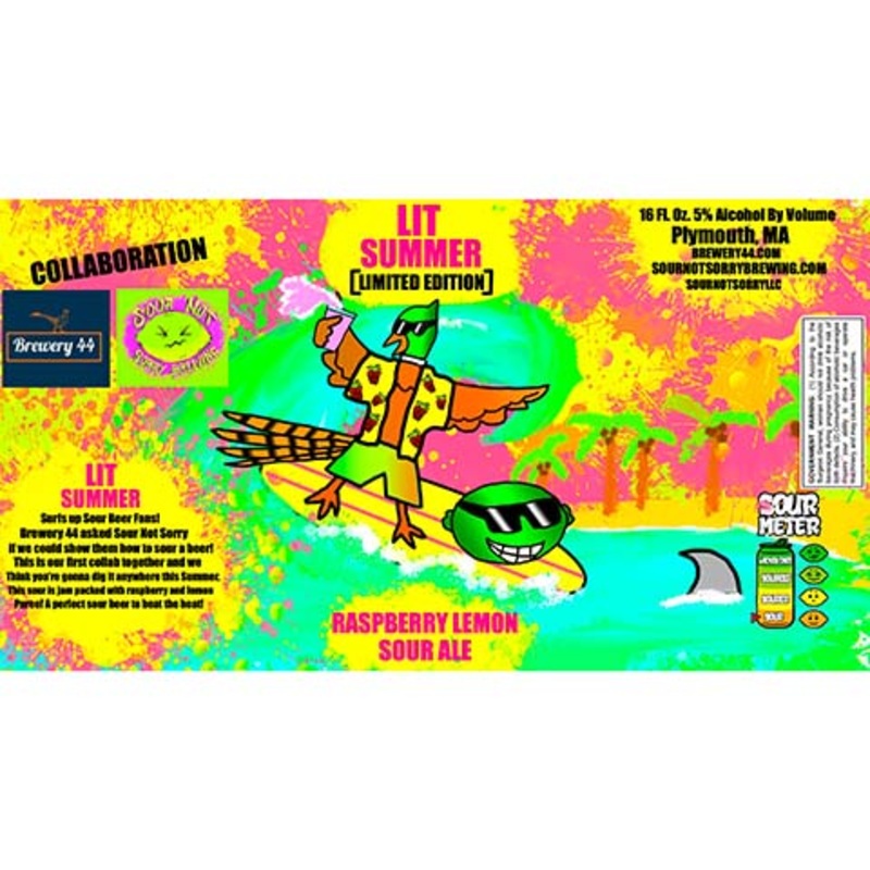 Sour Not Sorry Lit Summer Sour Ale 16OZ SINGLE CAN