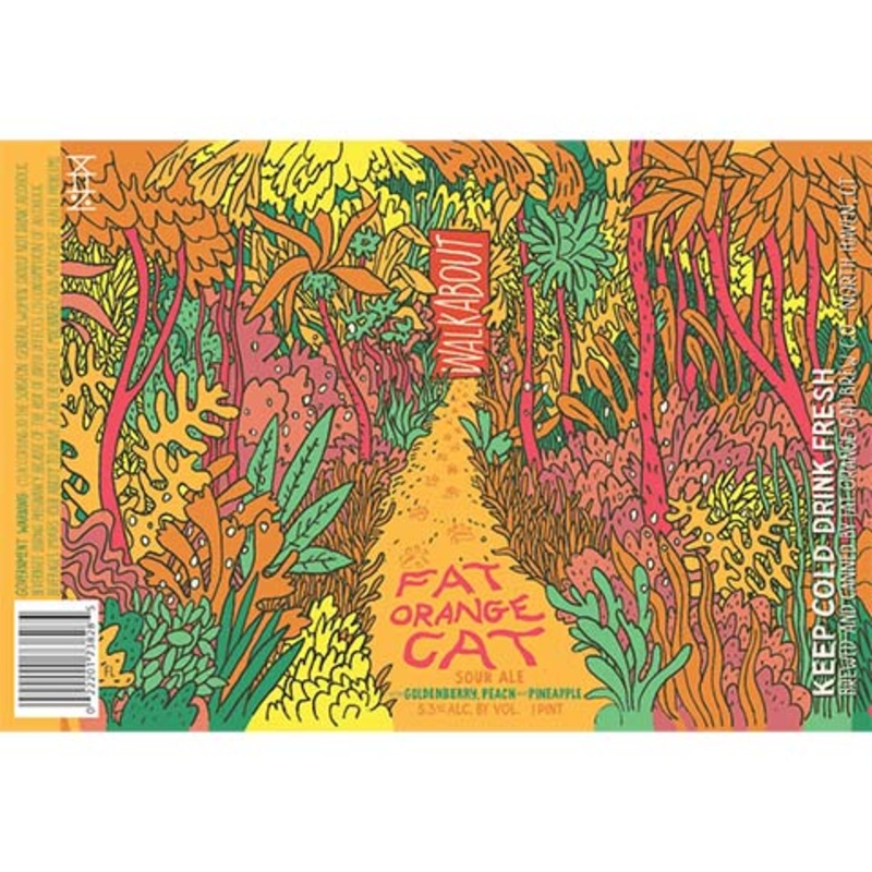 Fat Orange Cat Walkabout Sour (Goldenberry, Peach, Pineapple) 16OZ SINGLE CAN