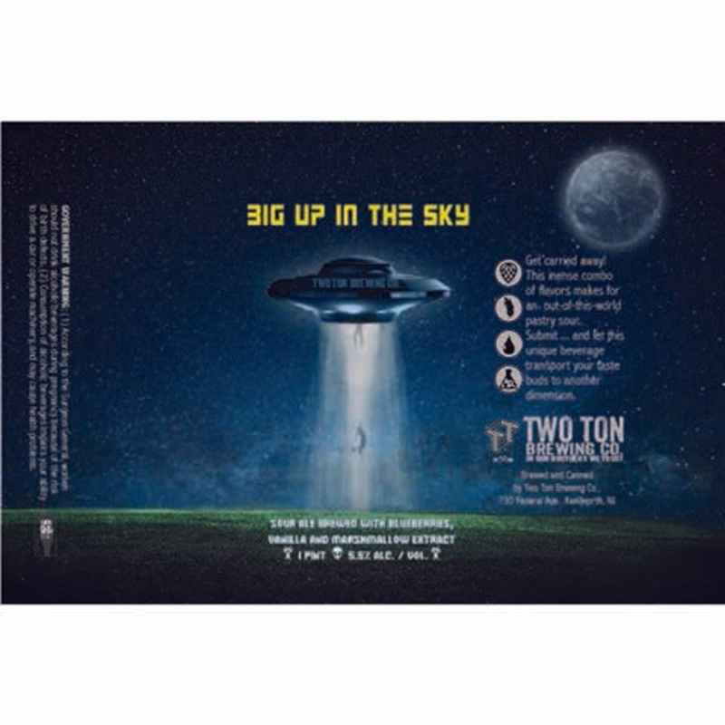 Two Ton Big Up in the Sky Sour Ale 16OZ SINGLE CAN