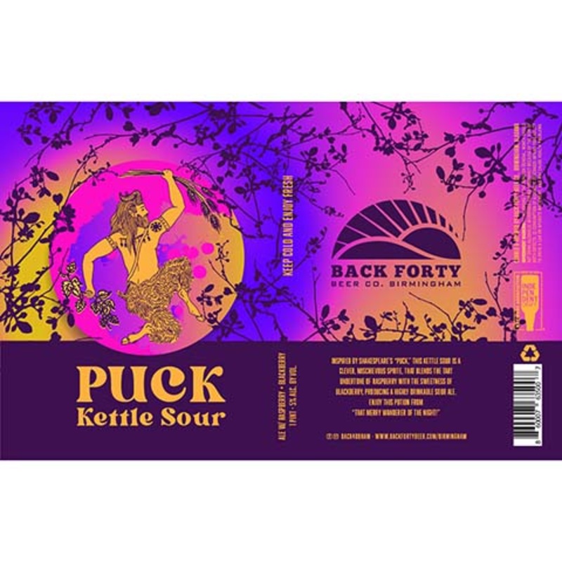 Back Forty Puck Kettle Sour Ale 16OZ SINGLE CAN