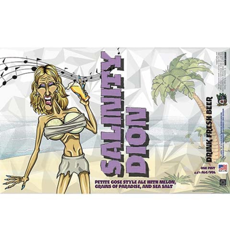 Chandler's Ford Salinity Dion Gose Ale 16OZ SINGLE CAN