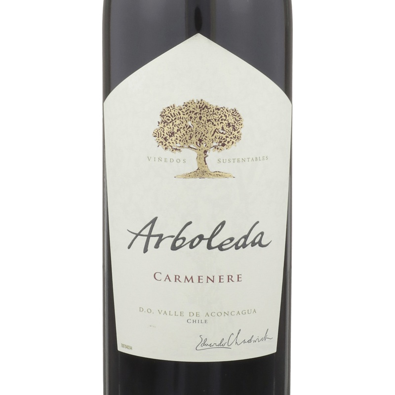 Arboleda Carmenere Aconcagua Valley 2020 750ML 750ML