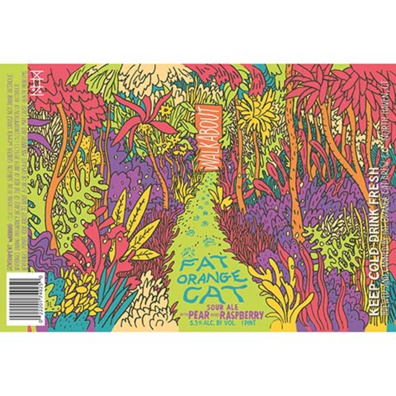 Fat Orange Cat Walkabout Sour (Pear and Raspberry) 16OZ SINGLE CAN