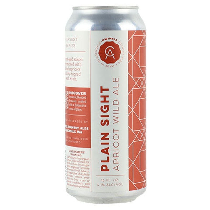 Dwinell Plain Sight Wild Ale 16OZ SINGLE CAN