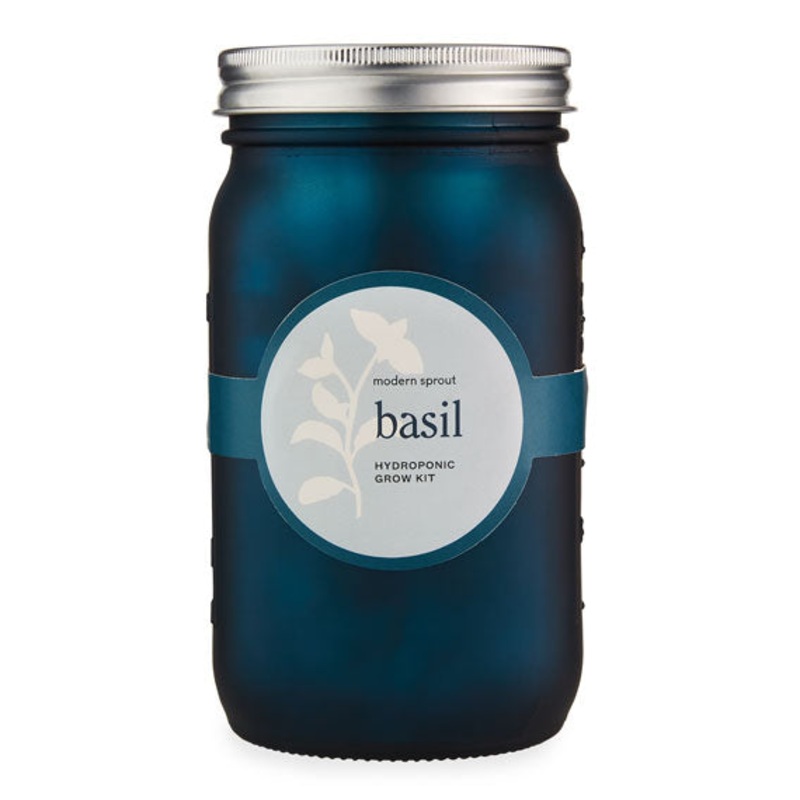 Garden Jar: Basil