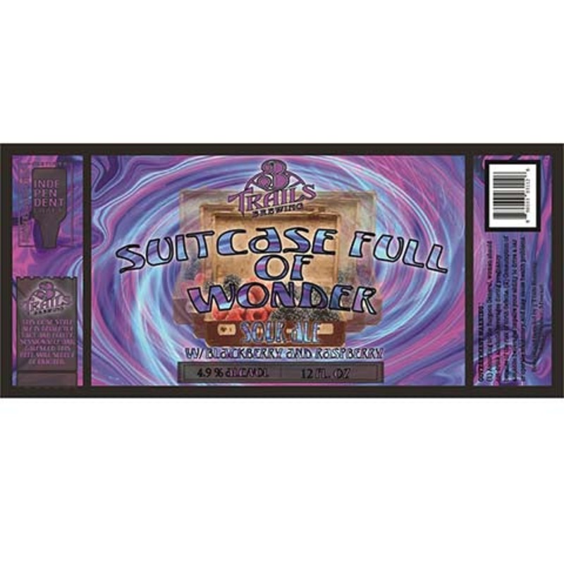 3 Trails Suitcase Full Of Wonder Sour Ale 12OZ SINGLE CAN