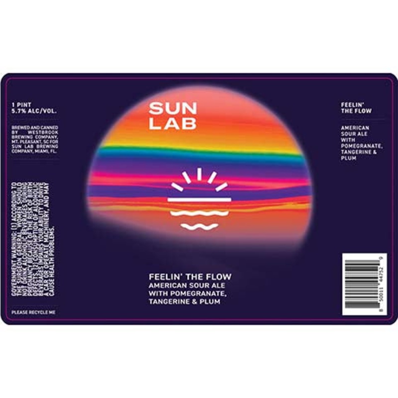 Sun Lab Feelin' The Flow Sour Ale 16OZ SINGLE CAN