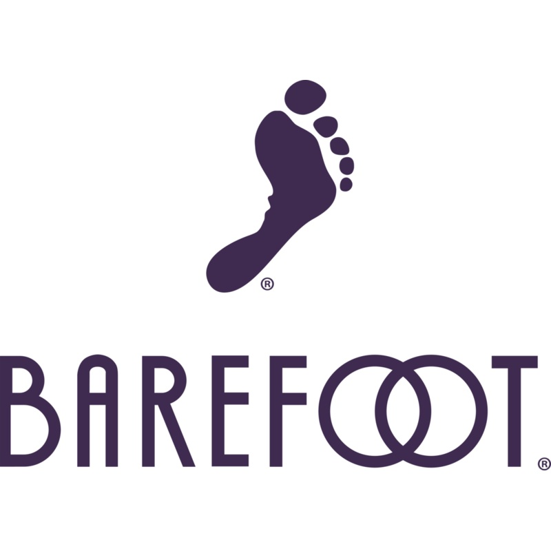 Barefoot Cabernet Sauvignon Tetra 200ML 200ml Bottle