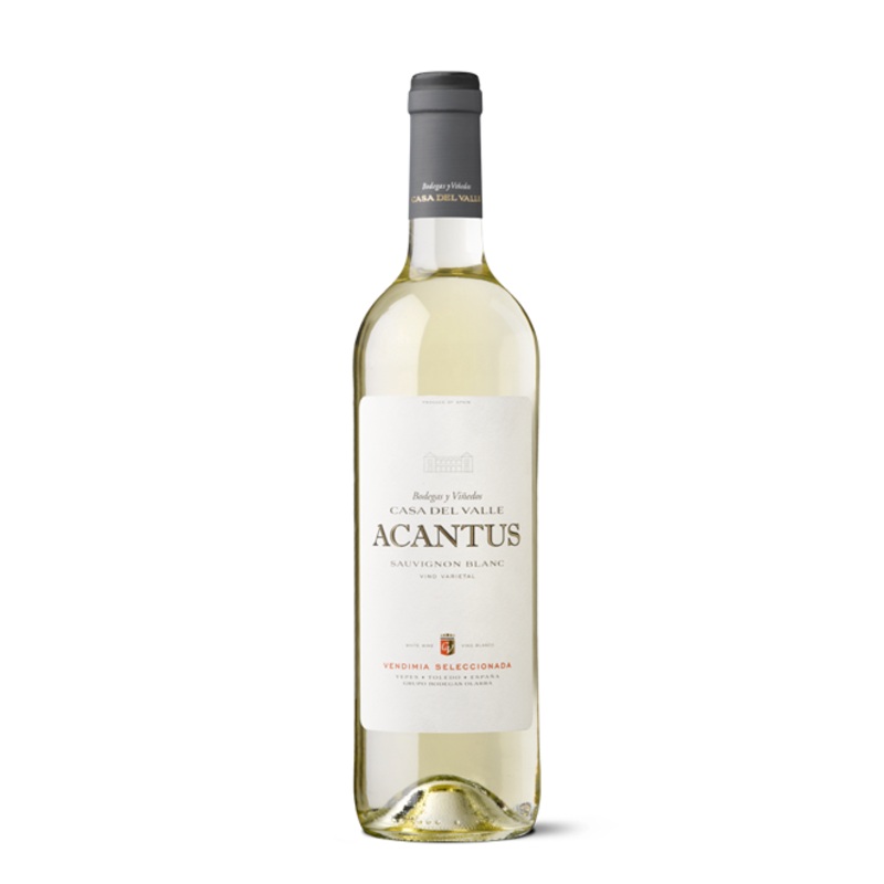 Bodegas y Vinedos Casa Del Valle Acantus Sauvignon Blanc